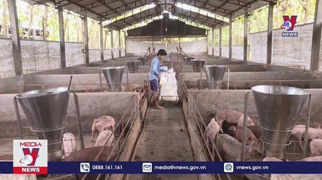 Nguồn cung ổn định giá cả các sản phẩm chăn nuôi khó tăng