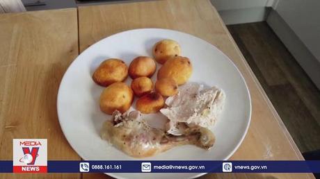 Hàng trăm nghìn hạt vi nhựa trong bữa ăn Giáng sinh