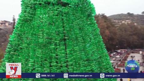 Cây thông Giáng sinh từ nhựa tái chế