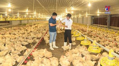 Góc nhìn VNews: Bình Dương phát triển bền vững nền Nông nghiệp