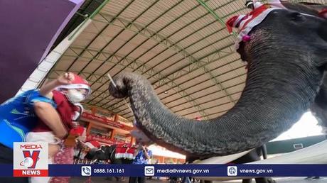 Voi Santa trao quà cho học sinh