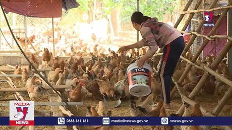 Thúc đẩy phát triển chăn nuôi trong tình hình mới