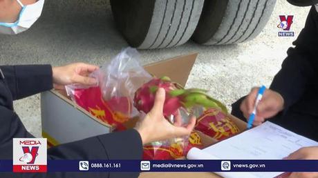 Thời gian thông quan tiếp tục giảm 