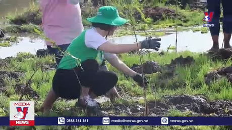 Dự kiến trồng mới 17 ha rừng tràm ở Láng Sen