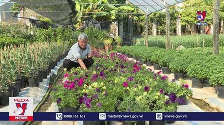 Làng hoa Ninh Bình 