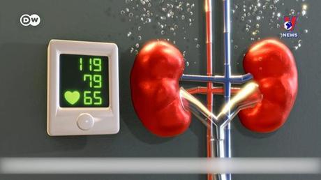 Tạp chí toàn cầu số 643 ngày 23/12/2022