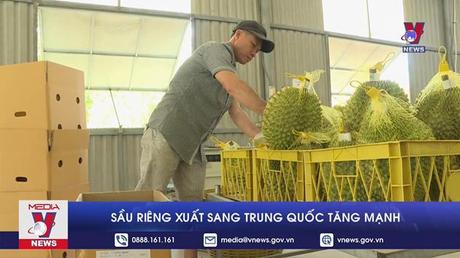 Sầu riêng xuất sang Trung Quốc tăng mạnh