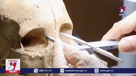 Người giải mã những bộ xương người cổ