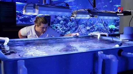 Cuộc sống xanh ngày 25/12/2022