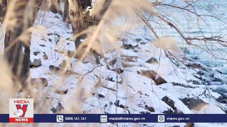 Sông Hàn đóng băng sớm hơn thường lệ