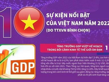 [Infographics] 10 sự kiện nổi bật của Việt Nam do TTXVN bình chọn