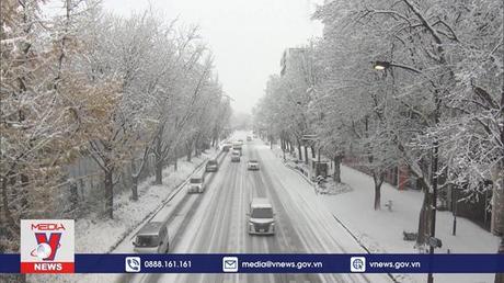 Bão tuyết gây nhiều thiệt hại tại Nhật Bản