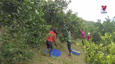 Học Bác mỗi ngày: Bác Hồ với xóa đói giảm nghèo