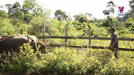 Phim tài liệu: Phát huy lợi thế, tiềm năng để thoát nghèo