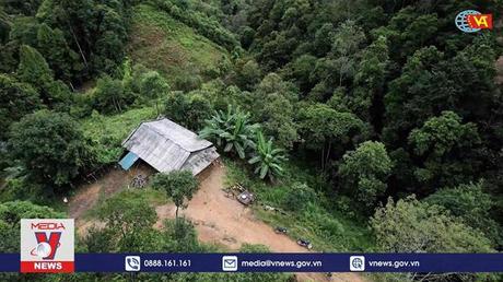 Phim tài liệu: Sống rừng nuôi chết rừng chôn - Tập 1