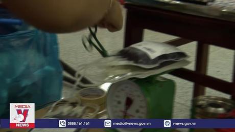 Hậu Giang phát động Chiến dịch vận động hiến máu dịp Tết