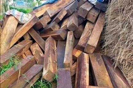 Phát hiện hơn 120 phách gỗ ké cất giấu ở nhà dân