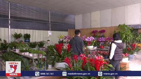 Rộn ràng thị trường hoa cây cảnh đón Tết tại Trung Quốc