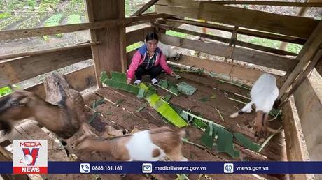 Khó khăn trong xây dựng nông thôn mới ở Mường Tè, Lai Châu