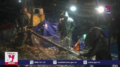 Nghệ An khai thác thủy sản ước đạt gần 4.800 tỷ đồng