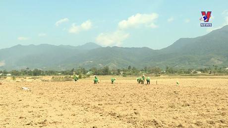 Nhật trình kinh tế ngày 20/12/2023