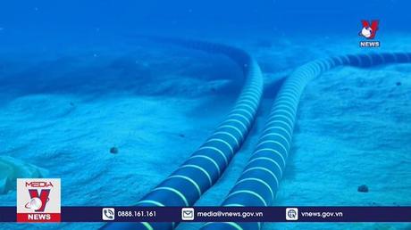 Thêm 1 tuyến cáp quang biển gặp sự cố