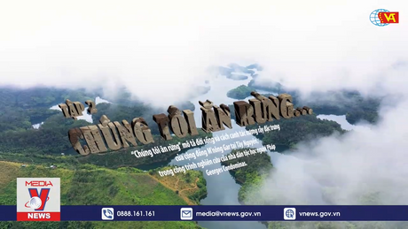 Phim tài liệu: Rừng - Tập 2