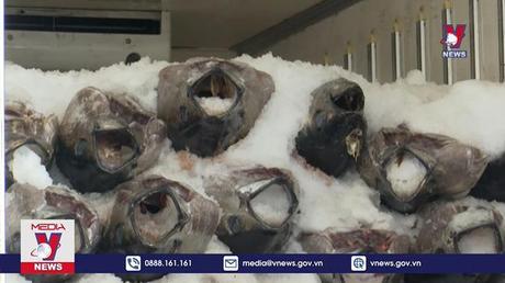 Xuất khẩu cá ngừ lần đầu tiên đạt mốc 1 tỷ USD