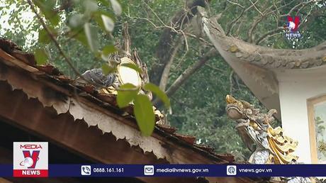 Ngày 27/1 khai hội chùa Hương năm 2023