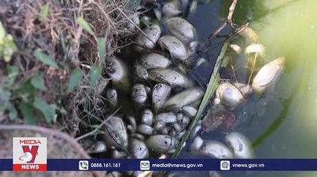 Thời tiết cực đoan sẽ trở thành hiện tượng “bình thường mới”