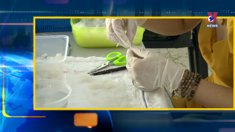 Nhịp cầu cộng đồng: Sản xuất tổ yến – Ngành kinh doanh phát đạt của người Việt tại Malaysia