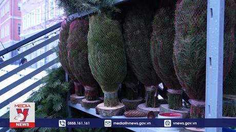 Cây thông năm mới ở thủ đô Moskva