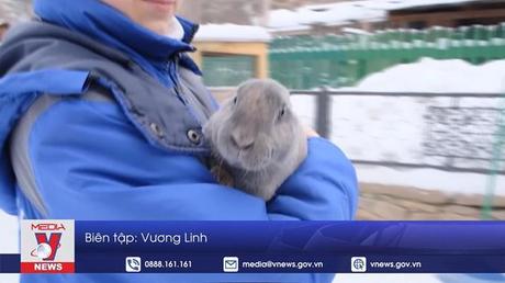 Nhu cầu mua thỏ tăng trong dịp năm mới tại Nga