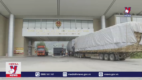 Việt Nam chi gần 2 tỷ USD nhập khẩu rau quả