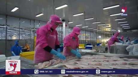 Thái Lan tăng nhập khẩu﻿ cá tra Việt Nam