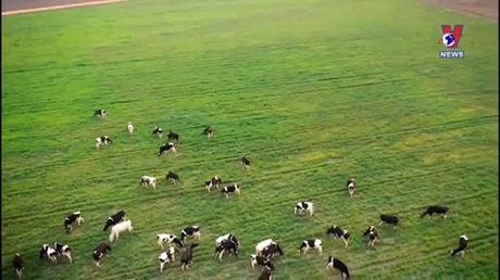 Vinamilk nhận 2 giải thưởng quốc tế về phát triển bền vững