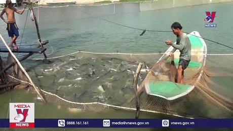 Tăng cường dịch vụ logistics nông sản ĐBSCL 