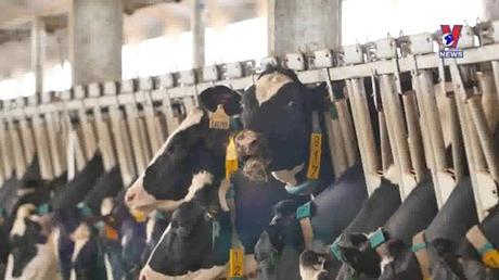 Vinamilk với nhiều nỗ lực trong phát triển bền vững