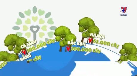 Trồng cây trung hòa carbon hướng đến mục tiêu net zero