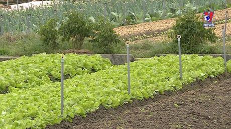 Nhật trình kinh tế ngày 30/12/2022