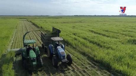 Mô hình phát triển bền vững “Vinamilk Green Farm”