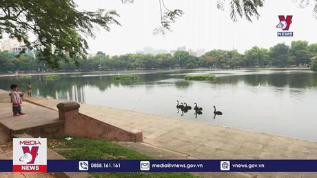 Hà Nội thí điểm không gian đi bộ phố Trần Nhân Tông 