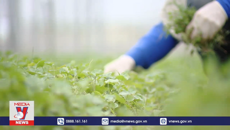 Xuất khẩu nông sản vượt kế hoạch đề ra