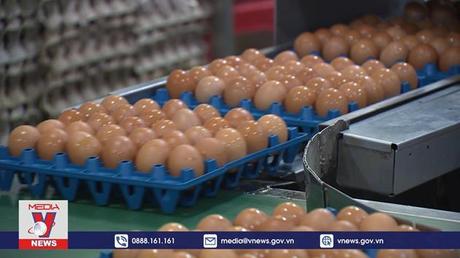 Tiếp cận được vốn, doanh nghiệp nỗ lực bình ổn giá Tết