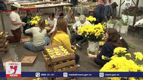 Mỹ chuẩn bị cho lễ diễu hành hoa hồng mừng năm mới 