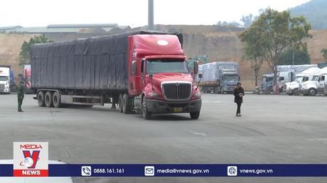 Lào Cai đón tín hiệu vui từ hoạt động XNK ngày đầu năm mới