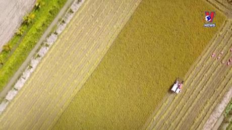 Bản tin tiếng Anh ngày 01/01/2023