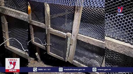 Một người bị trăn siết cổ tử vong ở Bình Phước