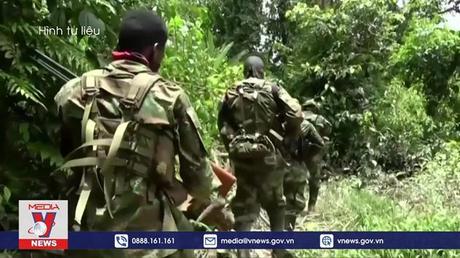 LHQ hoan nghênh thỏa thuận ngừng bắn ở Colombia