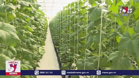 5.300 mã số vùng trồng đã được công nhận